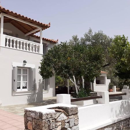 Villa Tillia Panormos  Zewnętrze zdjęcie