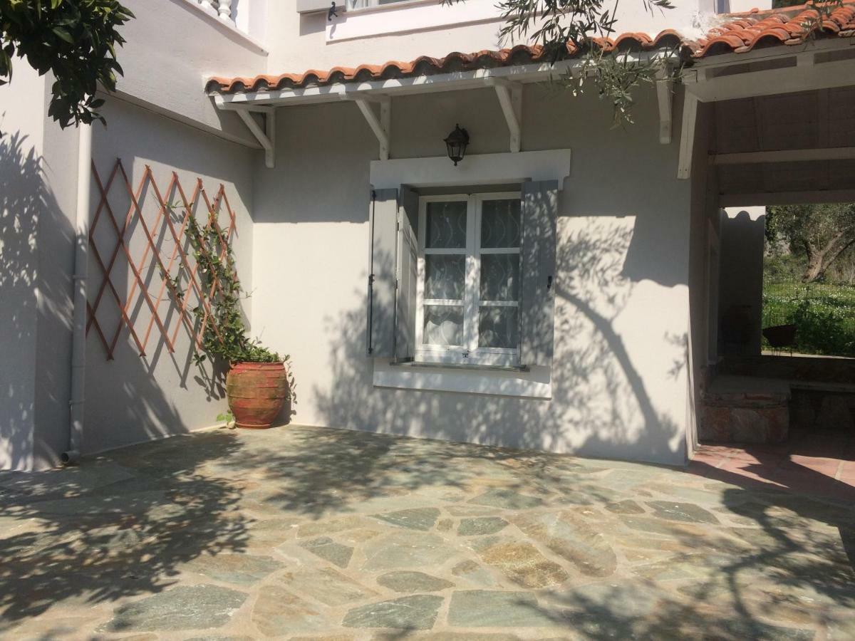Villa Tillia Panormos  Zewnętrze zdjęcie